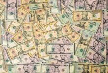 Photo of Jaimie Vaes vermogen: haar geld en carrière uitgelegd