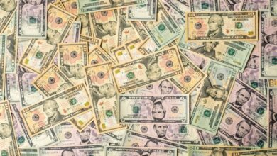 Photo of Jaimie Vaes vermogen: haar geld en carrière uitgelegd