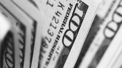 Photo of Het indrukwekkende fortuin van Gert Verhulst uitgelegd