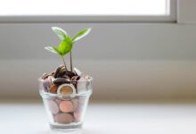 Photo of Belastingvoordeel: zo houd je meer geld in eigen zak